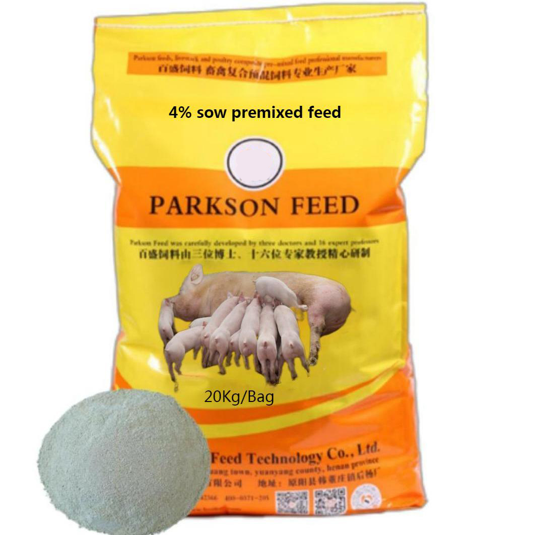 母猪.jpg
